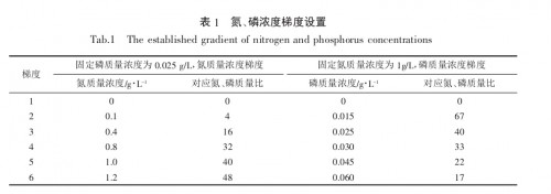 盐藻实验氮磷浓度梯度设置