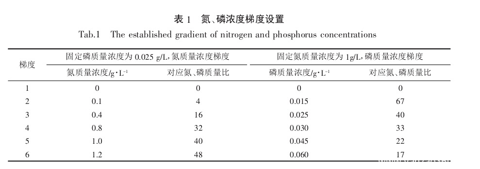 盐藻实验氮磷浓度梯度设置